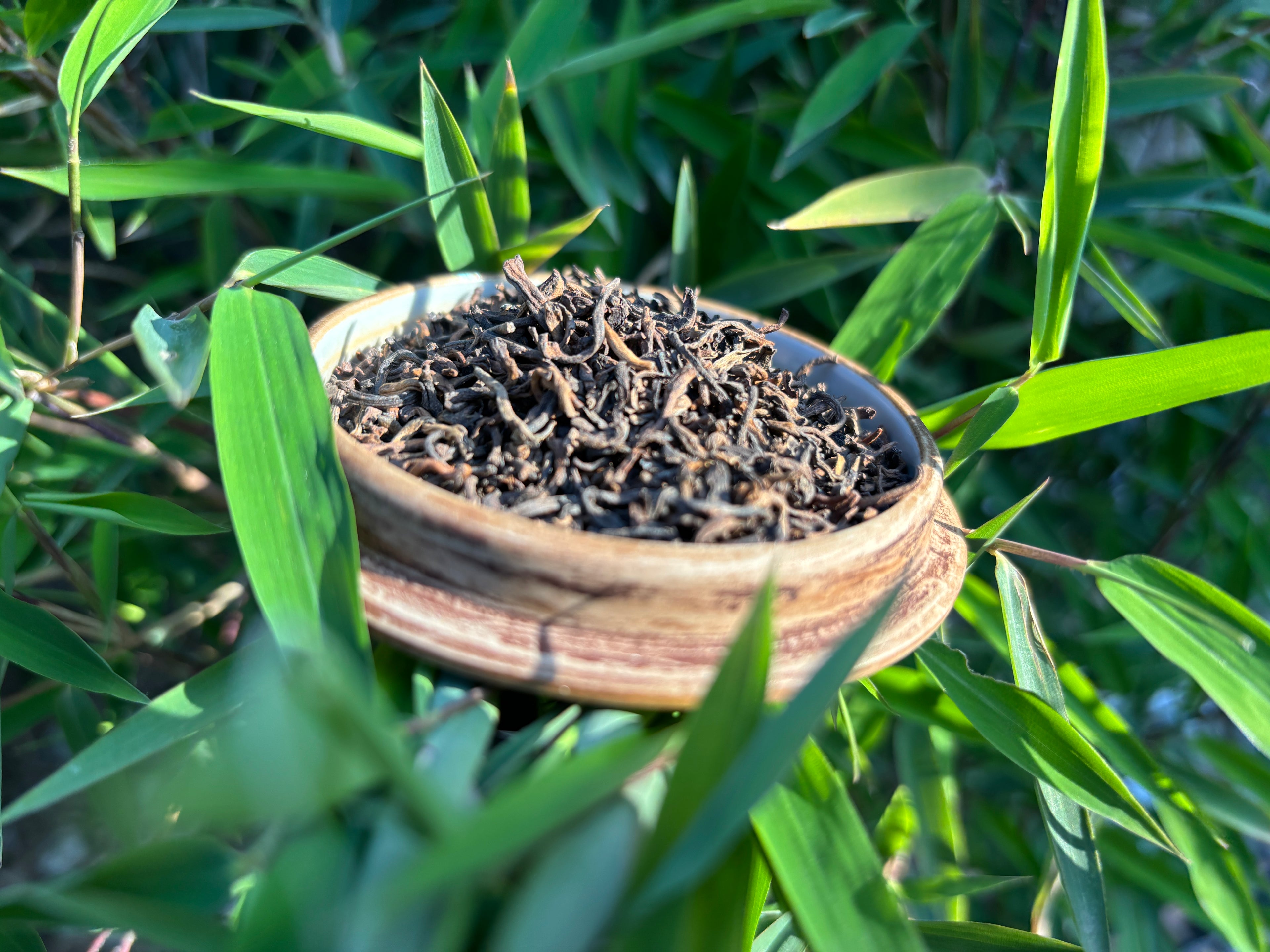 Puerh Menghai - Fermentált Tea